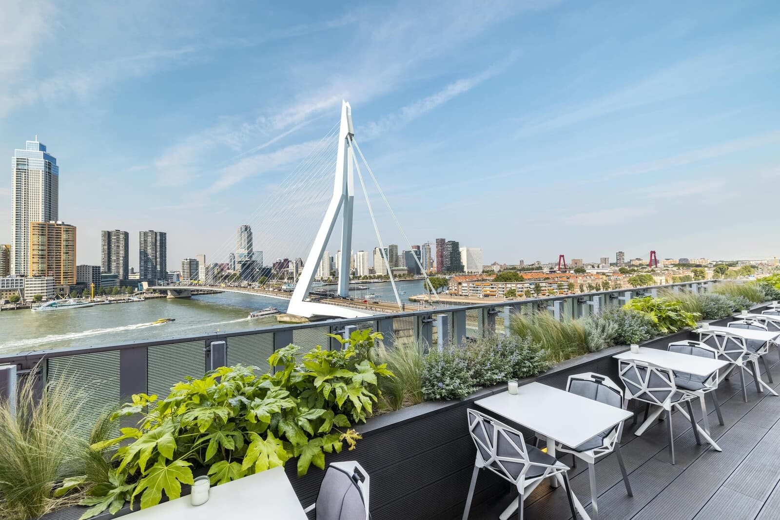 Rooftop Bars